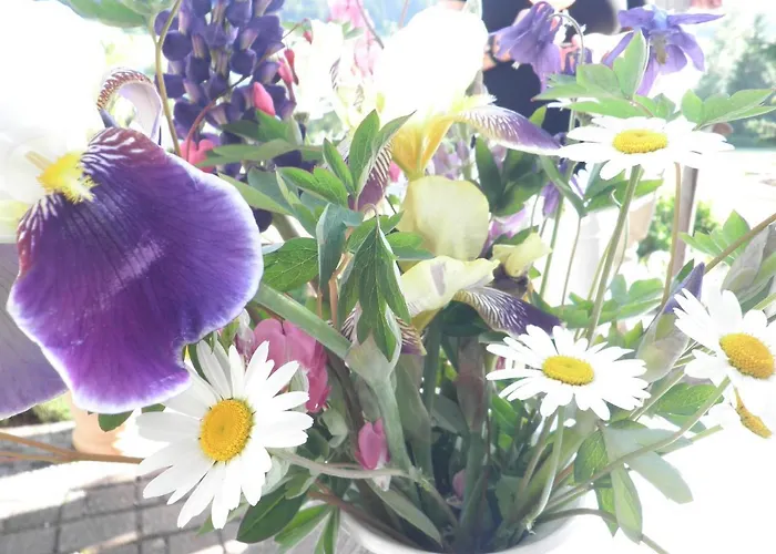 Wiesenhof, Direkt Am מלון 4*