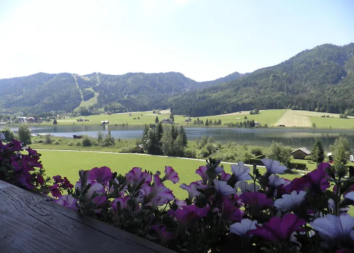 Wiesenhof, Direkt Am 4*