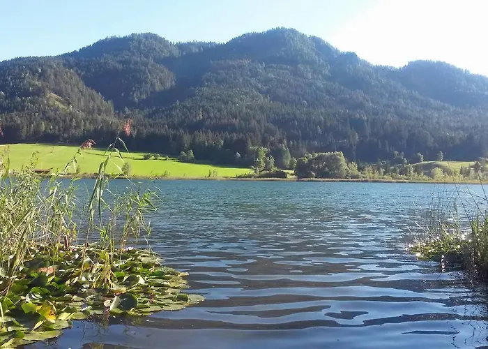 Hotel Wiesenhof, Direkt Am 4*